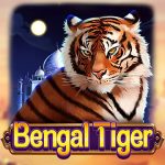QT_DRGS_BengalTiger@2x